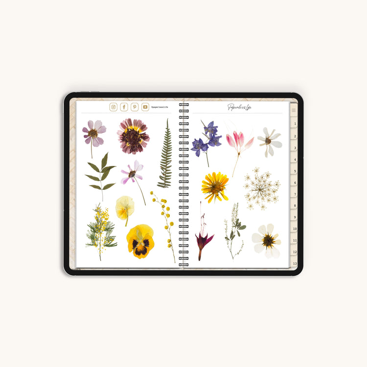 250+ Digital Stickers | Flower power