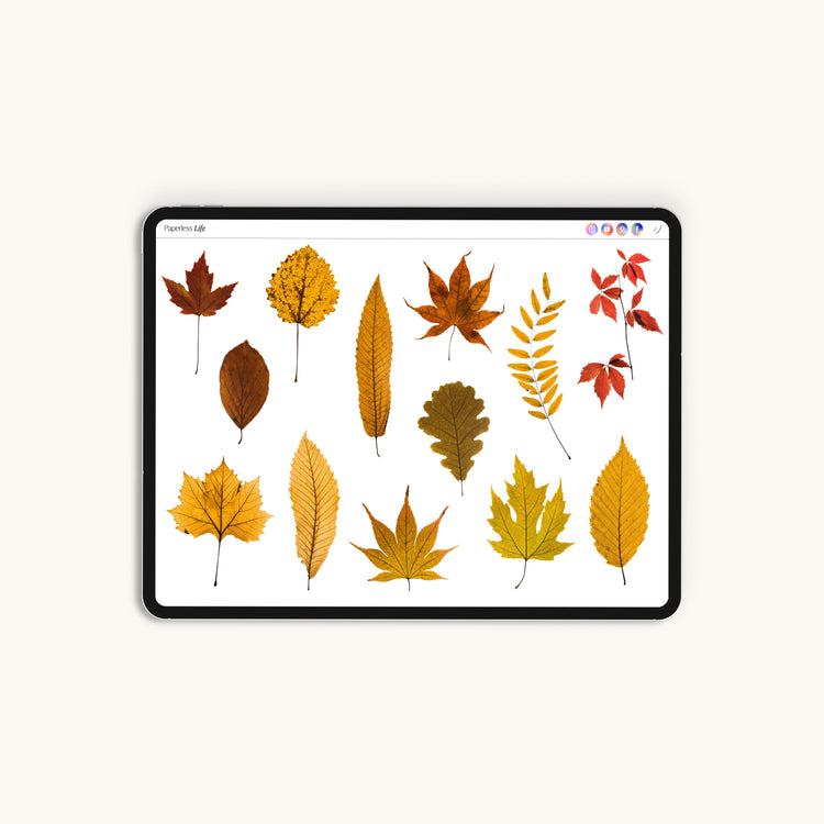 180+ Digital Stickers | Autumn Mood Board