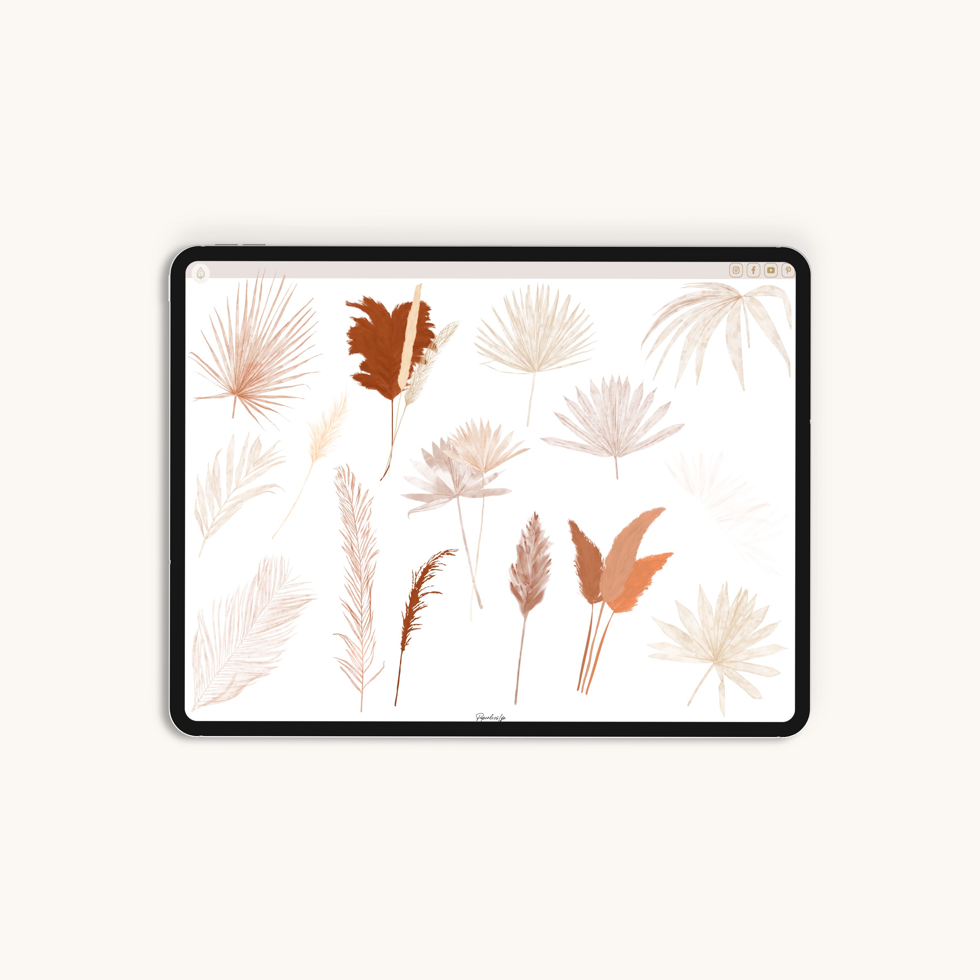 60 Digital Stickers | Pampas Grass