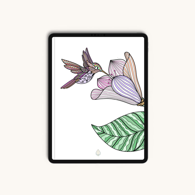 Digital Coloring Book - Zentangle