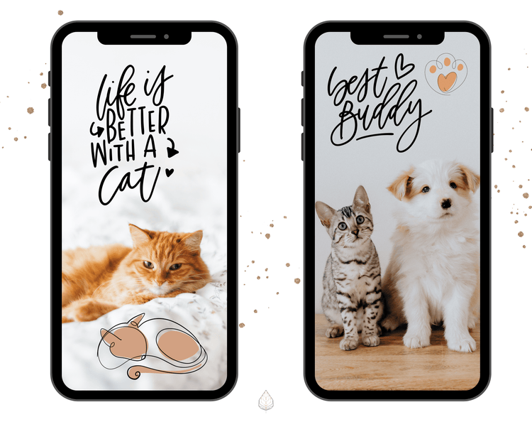 80+ Instagram Story Stickers - 🐈 Cats
