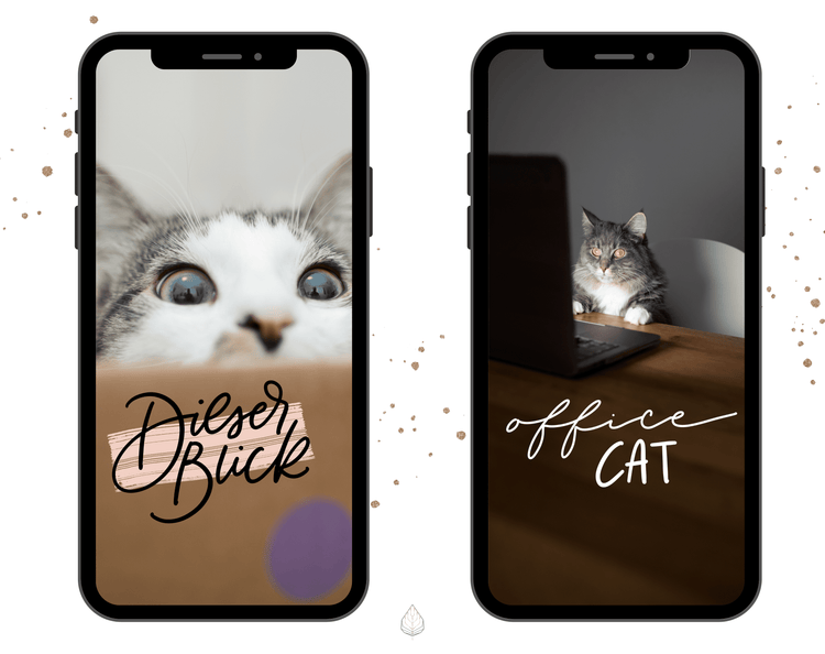 80+ Instagram Story Stickers - 🐈 Cats