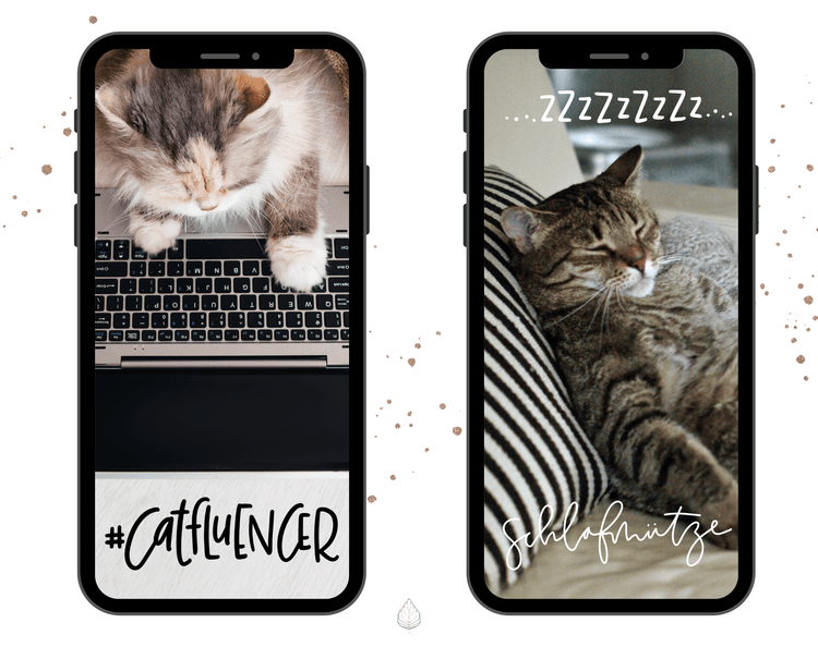 80+ Instagram Story Stickers - 🐈 Cats