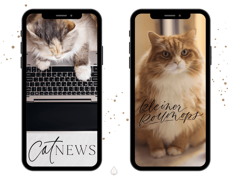 130+ Instagram Story Stickers - 🐈 Cat