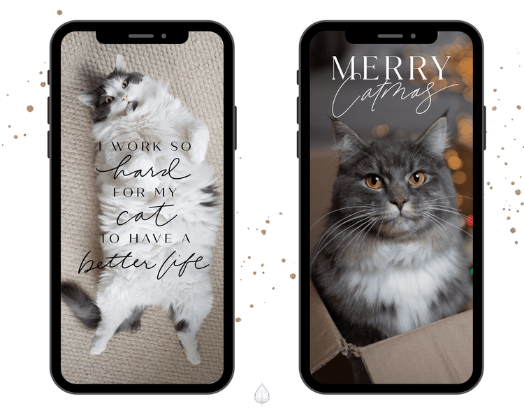 130+ Instagram Story Stickers - 🐈 Cat