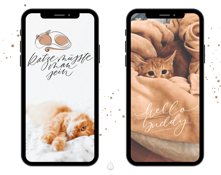 130+ Instagram Story Stickers - 🐈 Cat