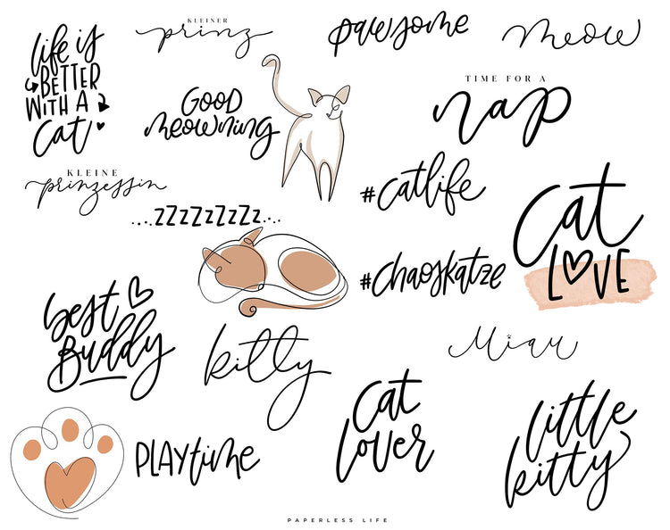 80+ Instagram Story Stickers - 🐈 Cats