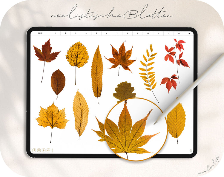 180+ Digital Stickers | Autumn Mood Board