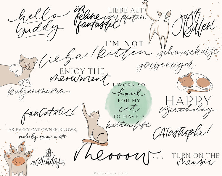 130+ Instagram Story Stickers - 🐈 Cat