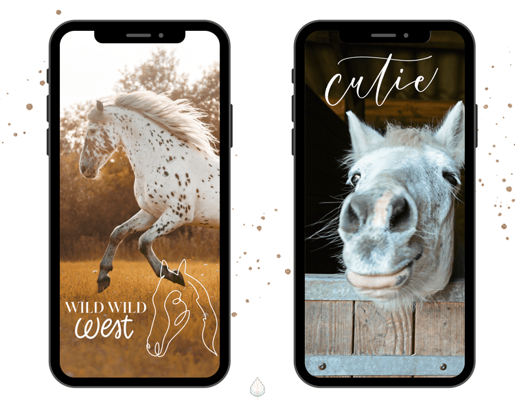 170+ Instagram Story Stickers - 🐴 Horses / Riding