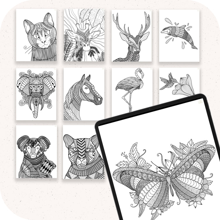 Digital Coloring Book - Zentangle