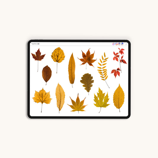 180+ Digitale Sticker | Mood Board Herbst