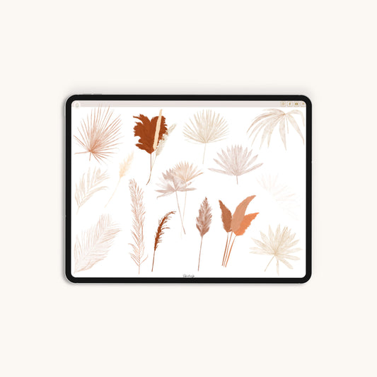60 Digital Stickers | Pampas Grass